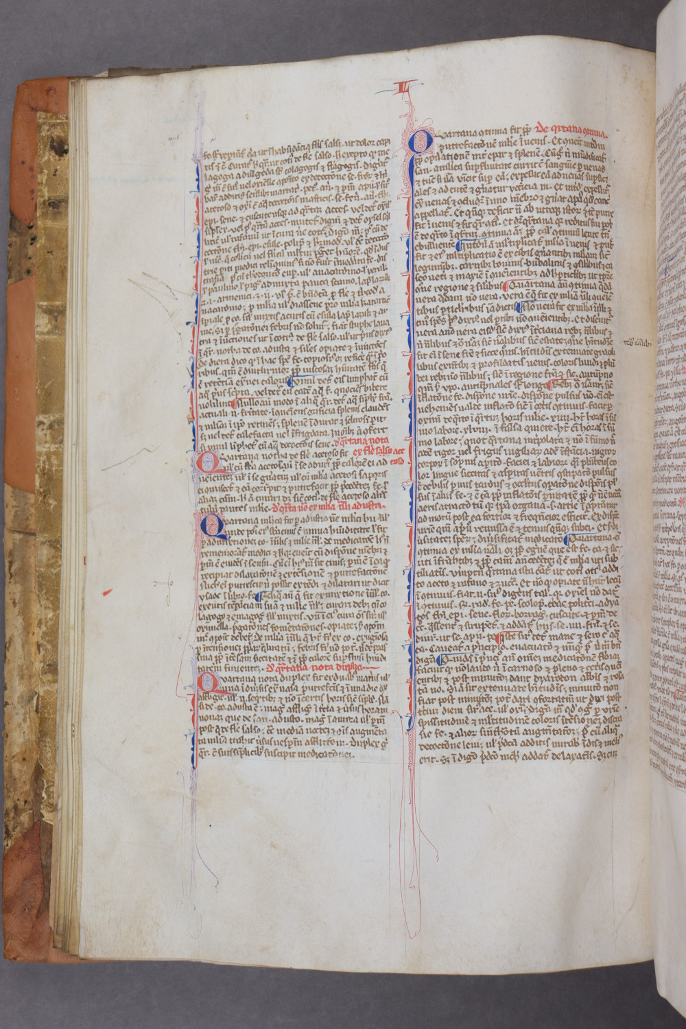 Folio 21 verso